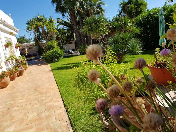 Casa Amarela - Portugal Naturally - Ron en Diana - Prachtige bloemen en bomen in overvloed