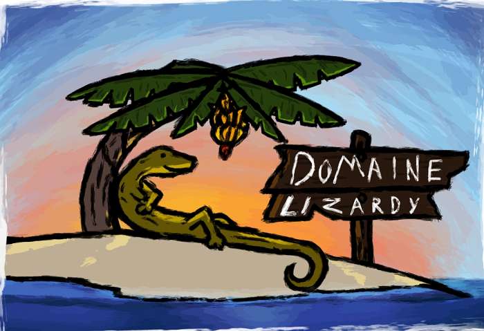 Domaine Lizardy (2)